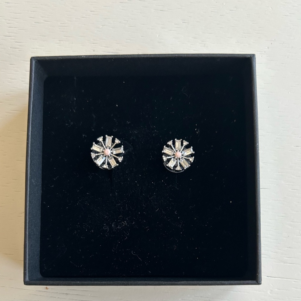 Elegant Silver Stud Earrings